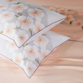 Σετ Σεντόνια Υπέρδιπλα Xάρις Κλειώ Scallop Shell 240x270