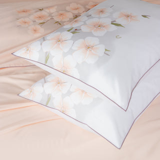 Σετ Σεντόνια Υπέρδιπλα Xάρις Κλειώ Scallop Shell 240x270