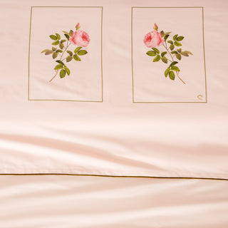 Σετ Σεντόνια Υπέρδιπλα Engraved Rose Κλειώ Scallop Shell 240x270