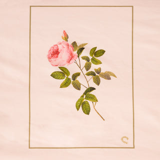 Σετ Σεντόνια Υπέρδιπλα Engraved Rose Κλειώ Scallop Shell 240x270