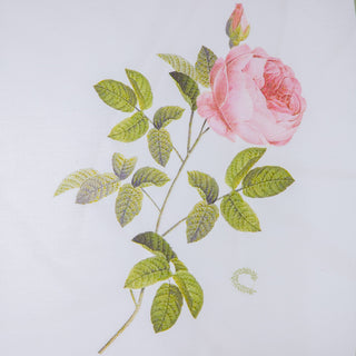 Σετ Σεντόνια Υπέρδιπλα Engraved Rose 240x270 White