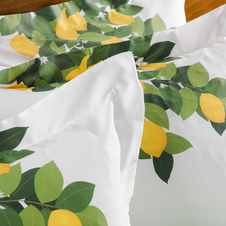 Lemons Green Extra Double Bed Sheets Set of 4 pcs